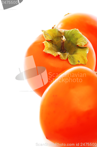 Image of Persimmon.