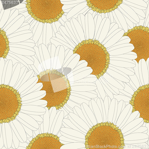 Image of Chamomile retro seamless pattern