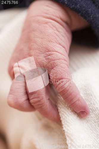 Image of hand of new born baby in close up