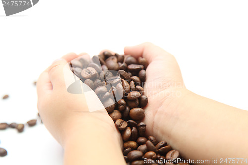 Image of coffee beans