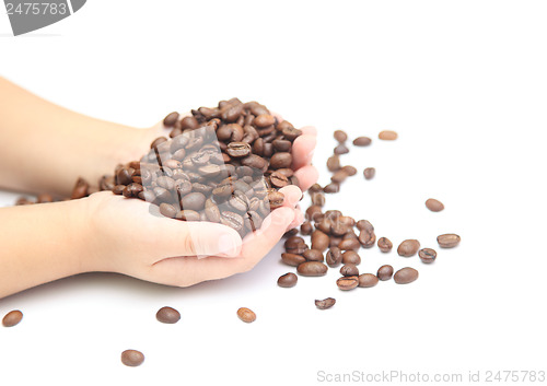 Image of  coffee beans