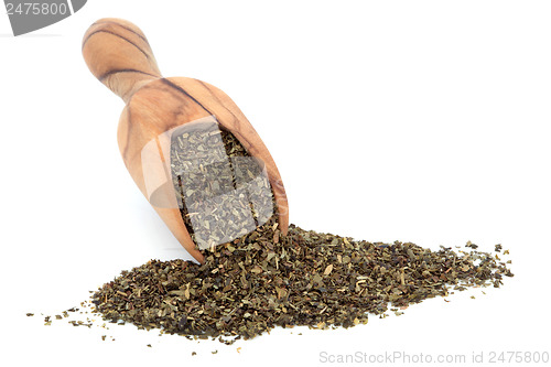 Image of Ginkgo Tea