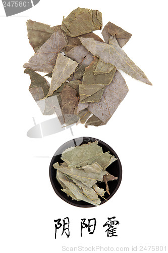 Image of Epimedium Herb