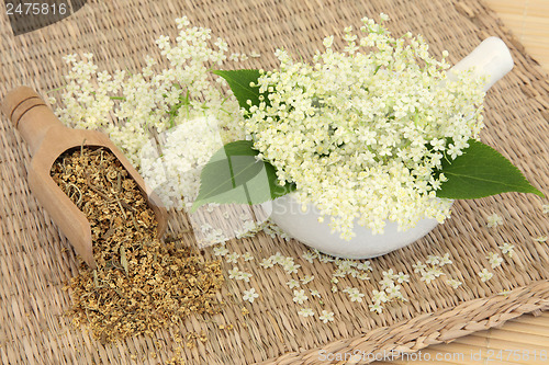 Image of Meadowsweet Herb