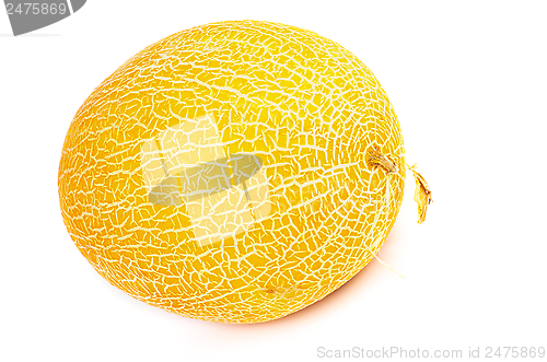 Image of Cantaloupe Melon