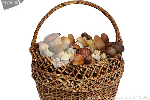 Image of Mushrooms in a wicker basket on a white background.