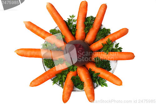 Image of Carrots, beets, parsley on the plate on a white background.