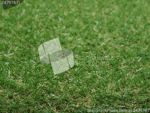 Image of Synthetic grass