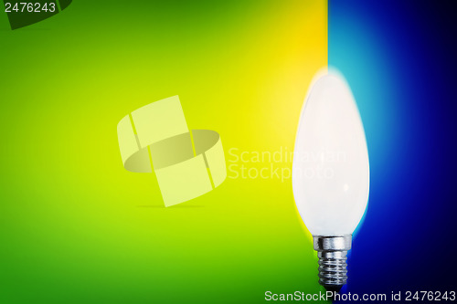 Image of White bulb