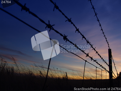 Image of Barbed Sunrise