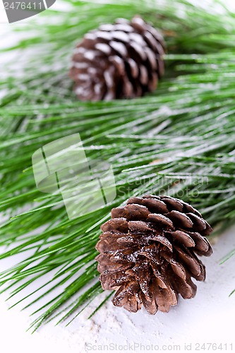 Image of fir tree branch with pinecones 