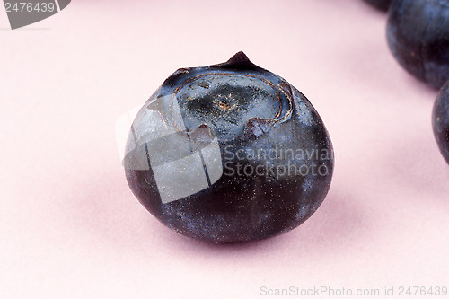 Image of Blueberry macro
