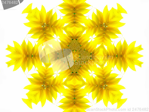 Image of Abstract pattern of sunflower 
