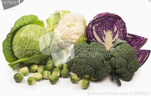 Image of Various types of cabbage