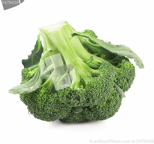 Image of Broccoli vegetable