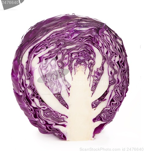 Image of half of red cabbage