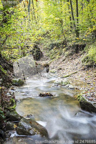 Image of stream in forest