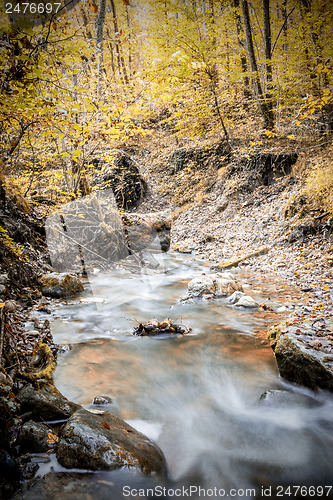 Image of creek in forest in autumn