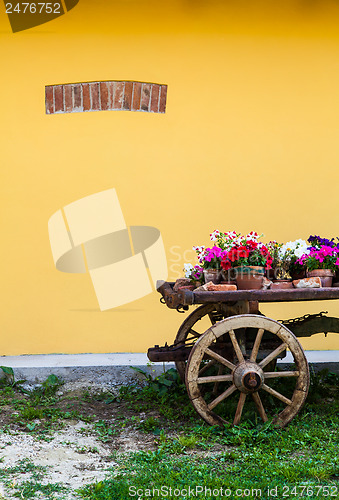 Image of Tuscany flowers