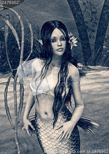 Image of Vintage Mermaid