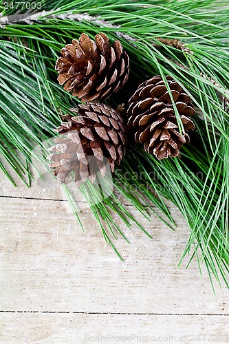 Image of christmas fir tree with pinecones