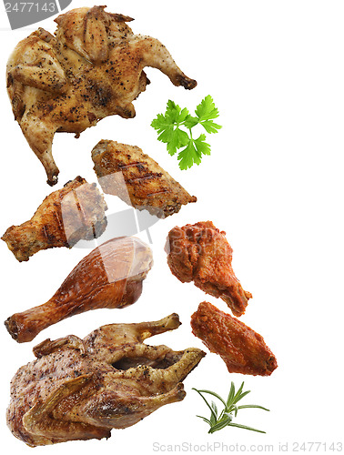 Image of Grilled Chicken,Duck And Turkey Meat