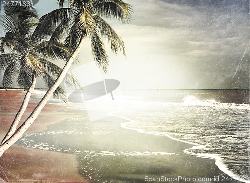Image of Vintage Tropical Beach Background