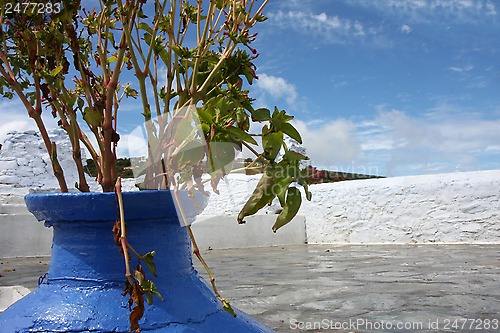 Image of Blue jar