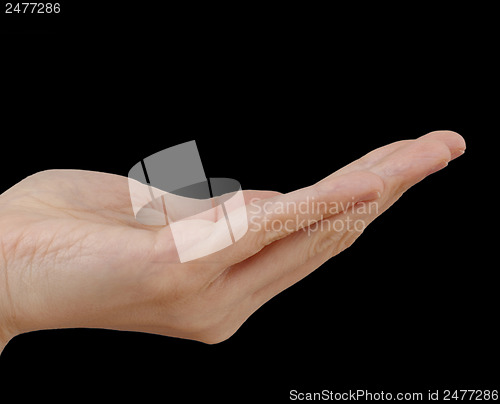 Image of White hand on black