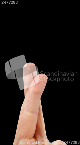 Image of White hand on black