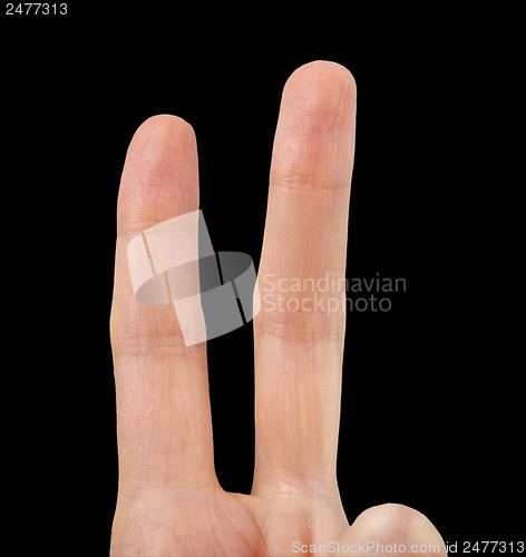 Image of White hand on black