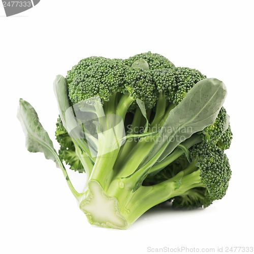 Image of Broccoli vegetable