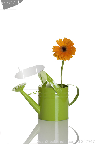 Image of Green watering can with a flower