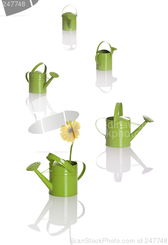 Image of Watering cans