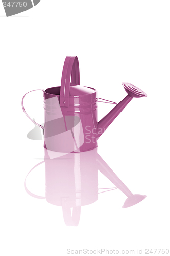 Image of Pink watering can