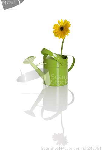 Image of Green watering can with a flower