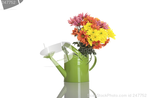 Image of Green watering can with flowers