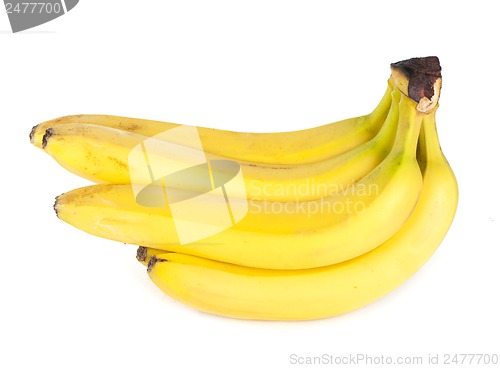 Image of Bananas