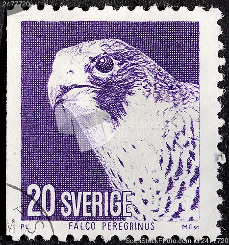 Image of Falcon Stamp