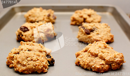 Image of Oatmeal raisin cookies cooling on a baking sheet