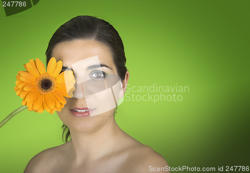 Image of Spring time