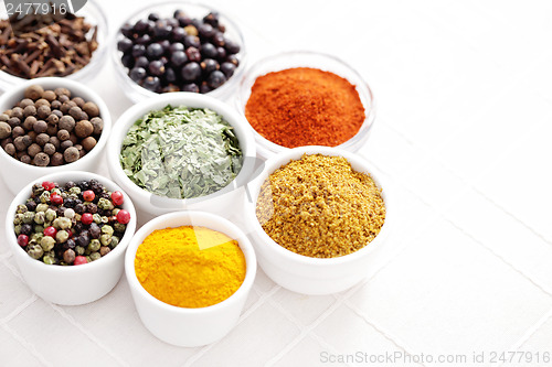 Image of lots of spices