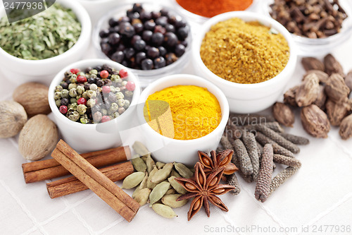 Image of lots of spices