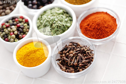 Image of lots of spices