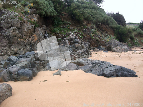 Image of coastal detail