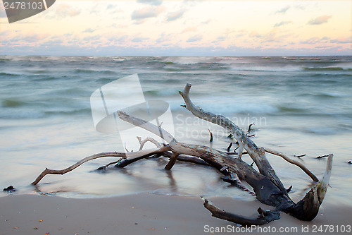 Image of Beautiful coast scene