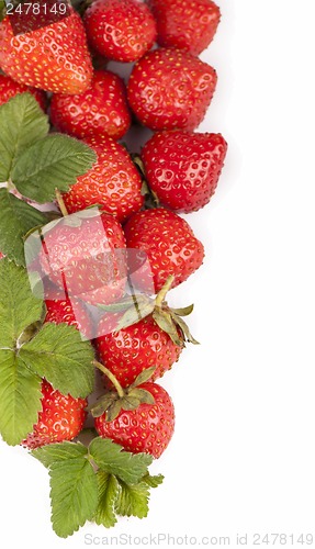 Image of ripe red juicy strawberries