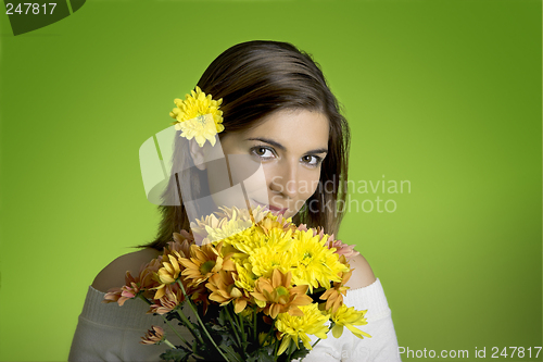 Image of Spring time