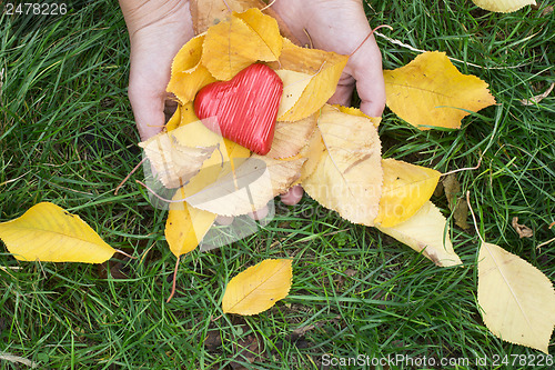 Image of Hand holding Red heart and autumn leafs