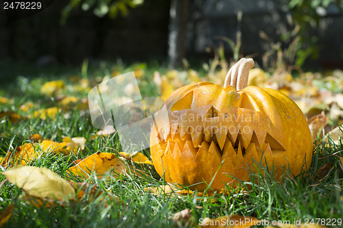 Image of Pumpkin on grass and autumn leaves
